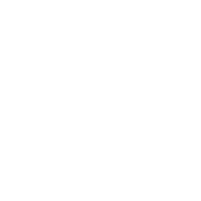 Icono 10 años de garantía